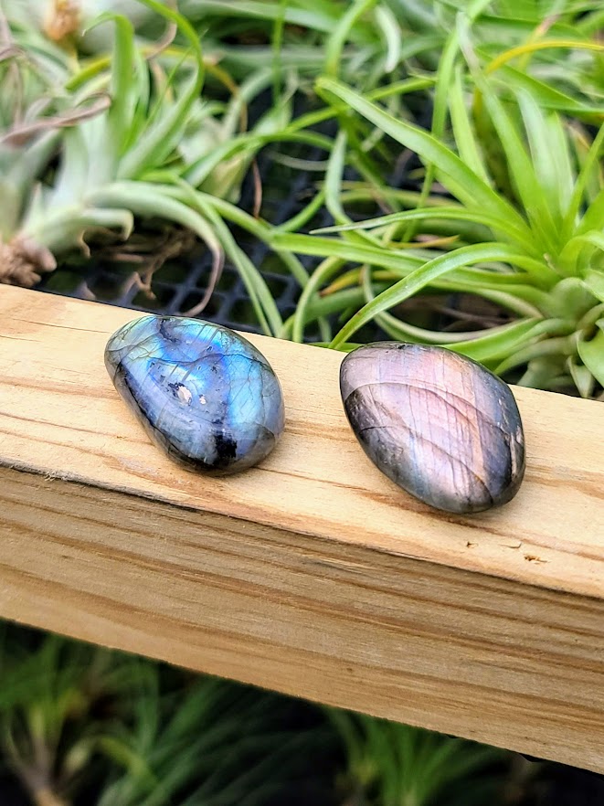 Labradorite Crystal Palm Stone