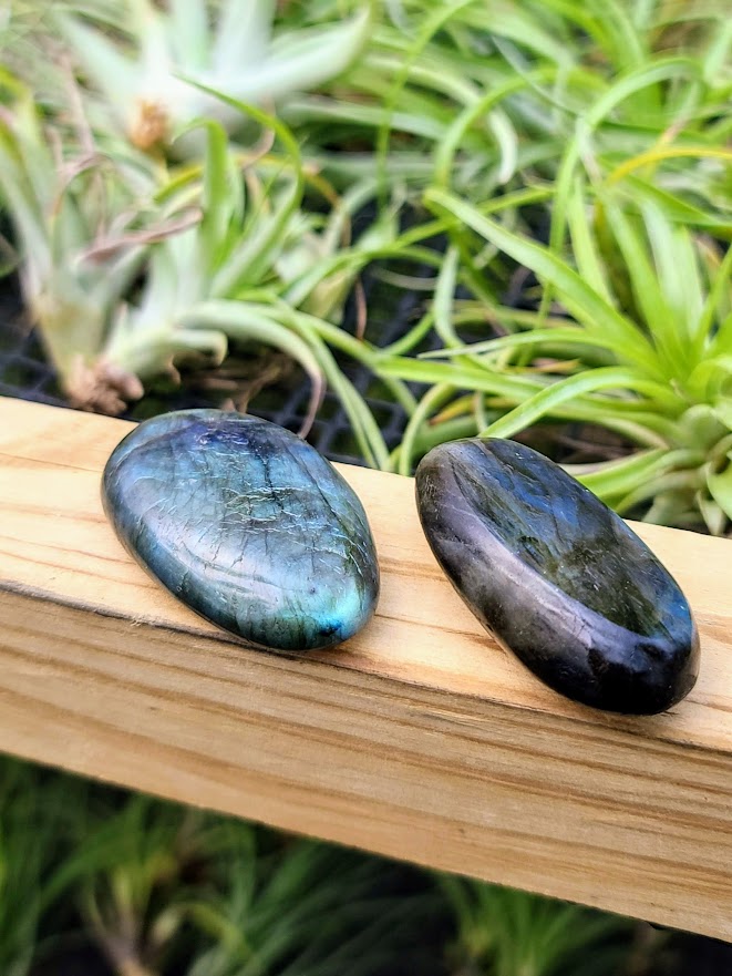Labradorite Crystal Palm Stone