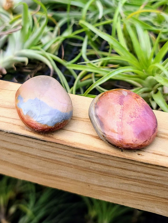 Polychrome Jasper Crystal Palm Stone