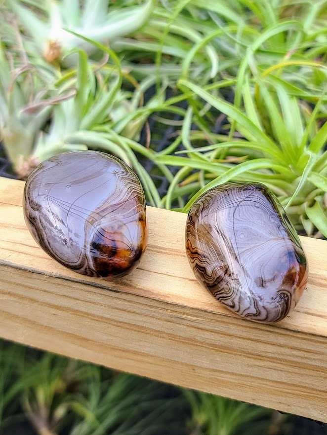 Sardonyx Crystal Palm Stone