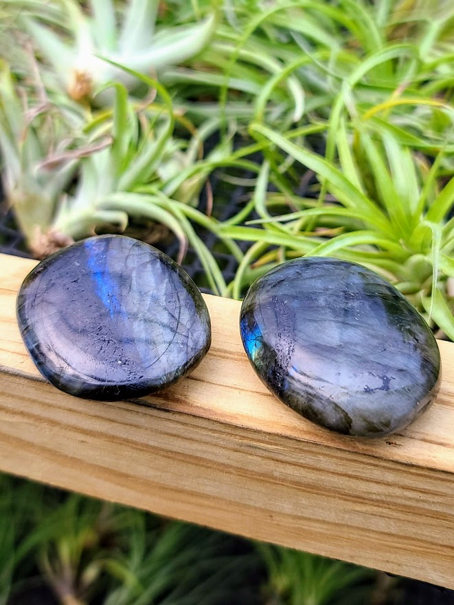 Labradorite Crystal Palm Stone