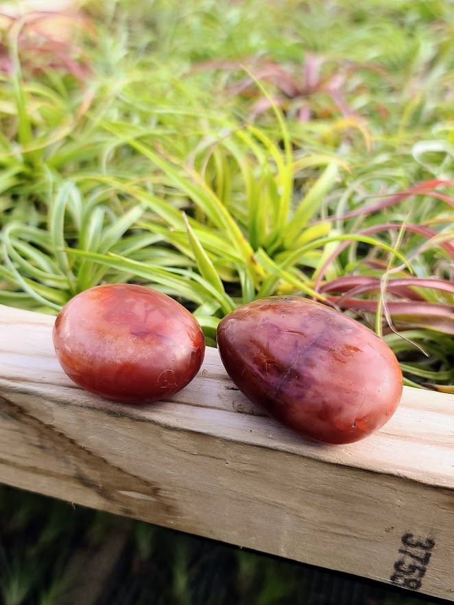 Red Carnelian Palm Stone