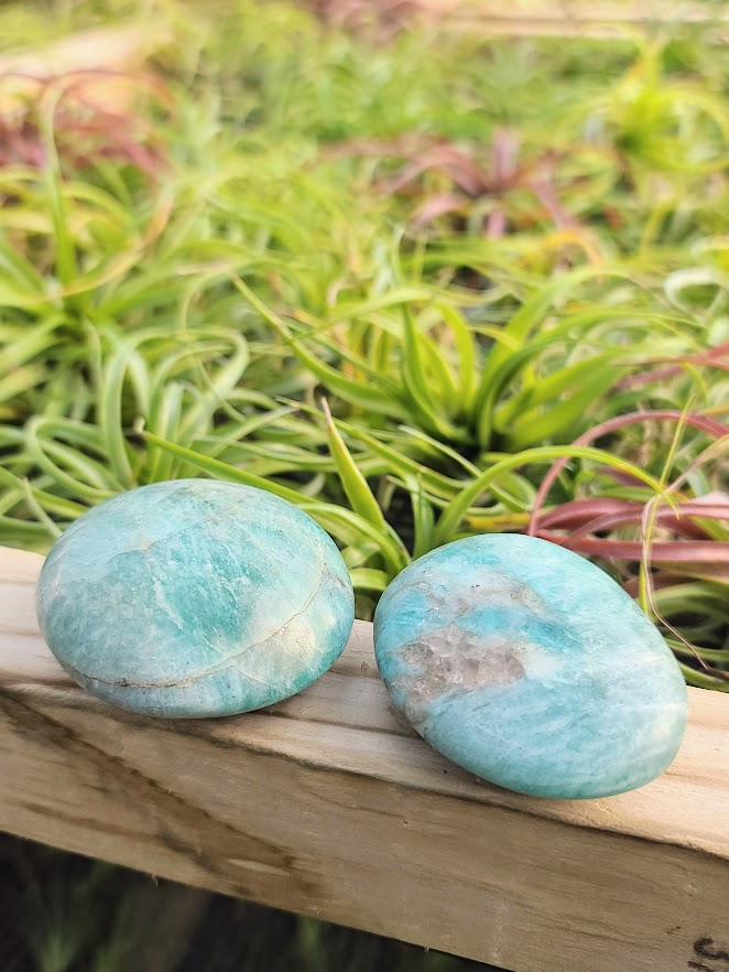 Amazonite Palm Stone