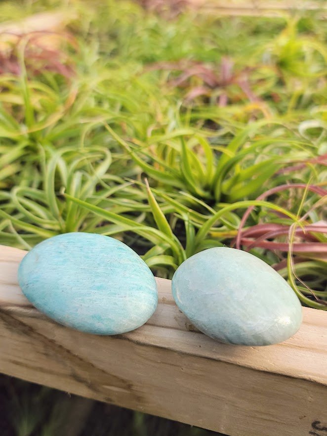 Amazonite Palm Stone