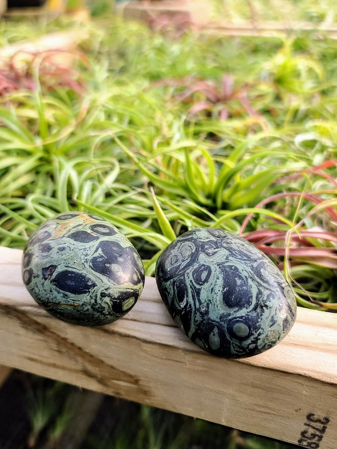 Kambaba Jasper Palm Stone
