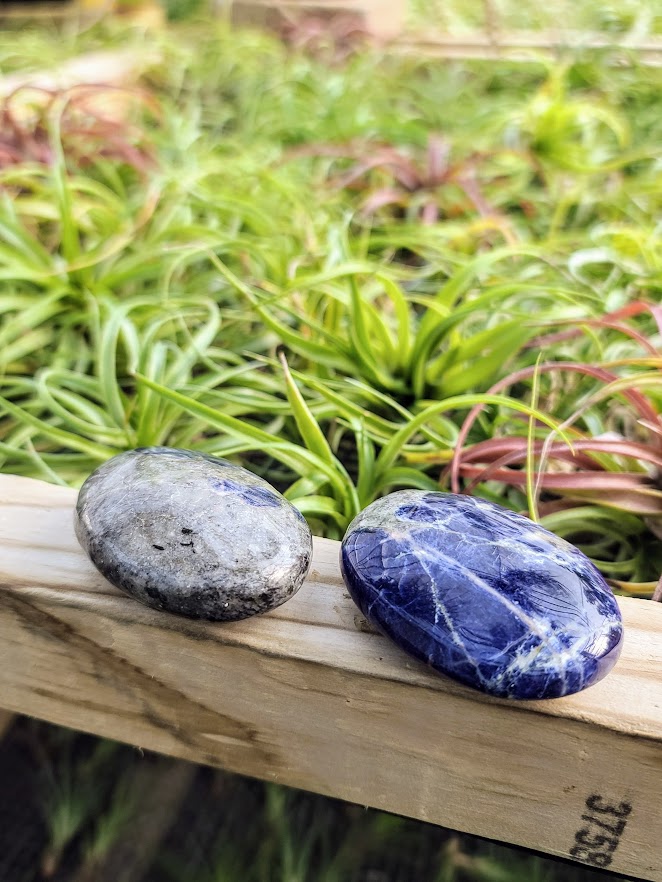 Sodalite Palm Stone