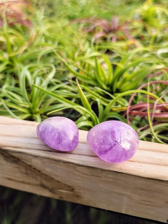 Amethyst Palm Stone