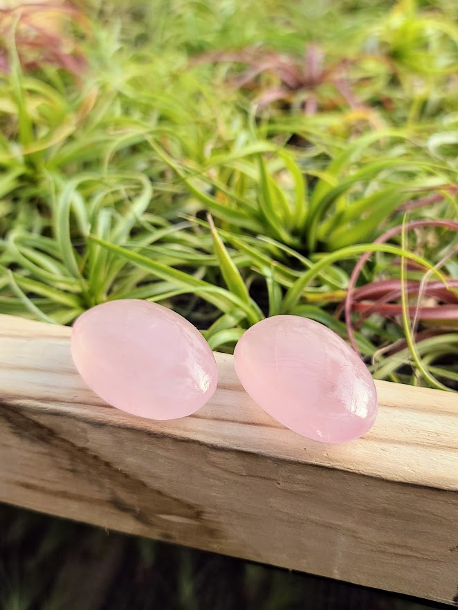 Star Rose Quartz Crystal Palm Stone