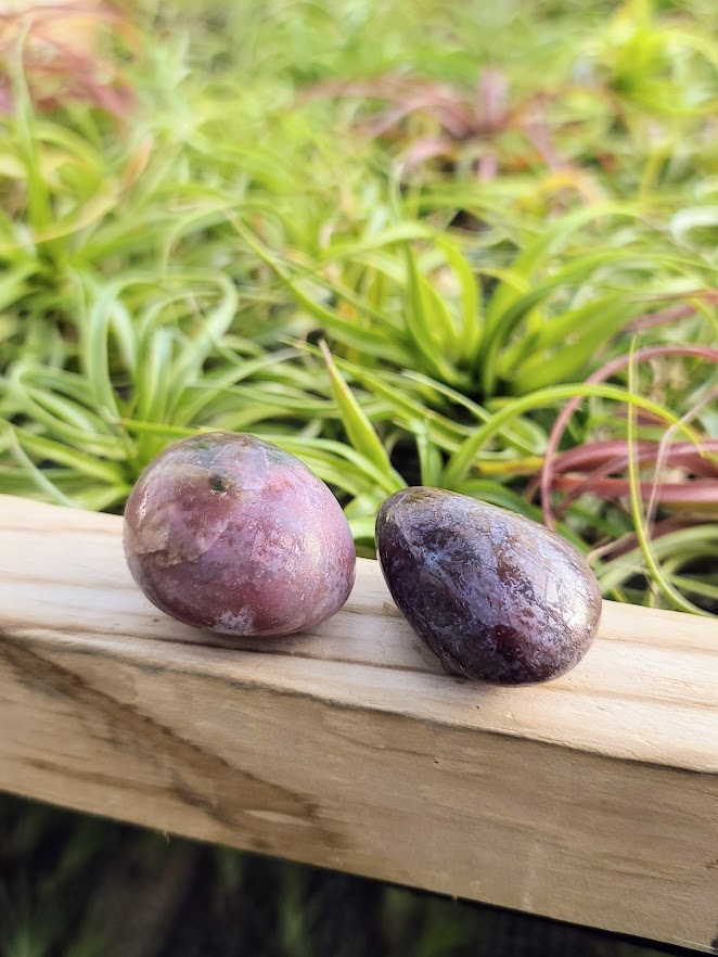 Ocean Jasper Palm Stone