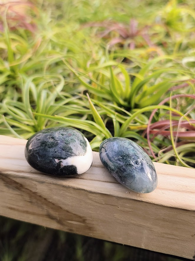 Moss Agate Palm Stone
