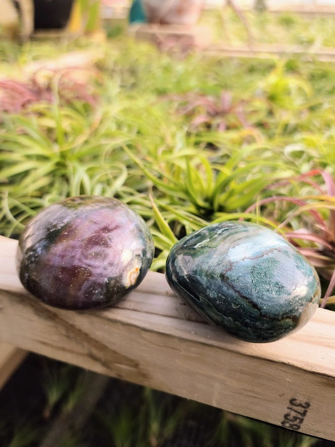 Ocean Jasper Palm Stone