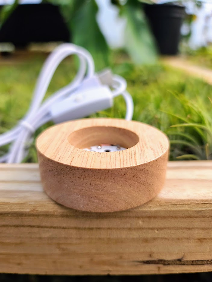 Small Light Up Wooden Stand