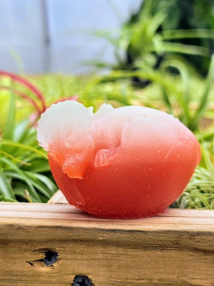 Hatching Dinosaur Luminous Carving