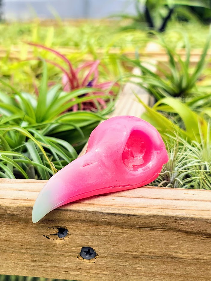 Crow Skull Luminous Carving