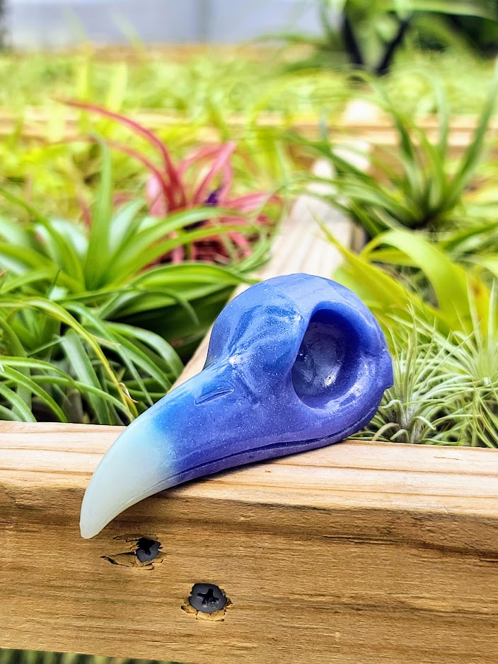 Crow Skull Luminous Carving