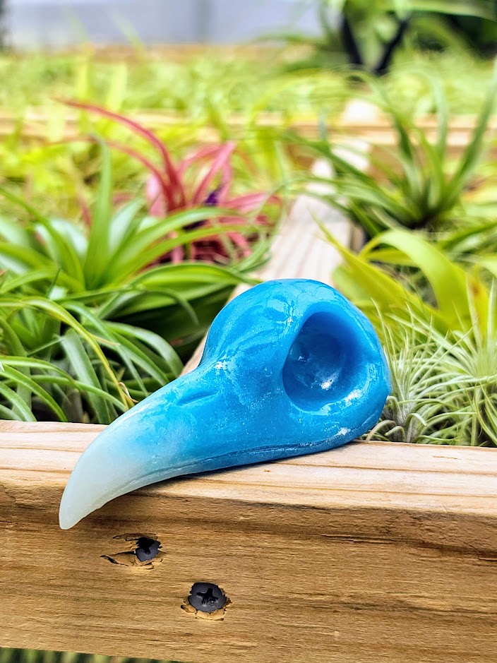 Crow Skull Luminous Carving