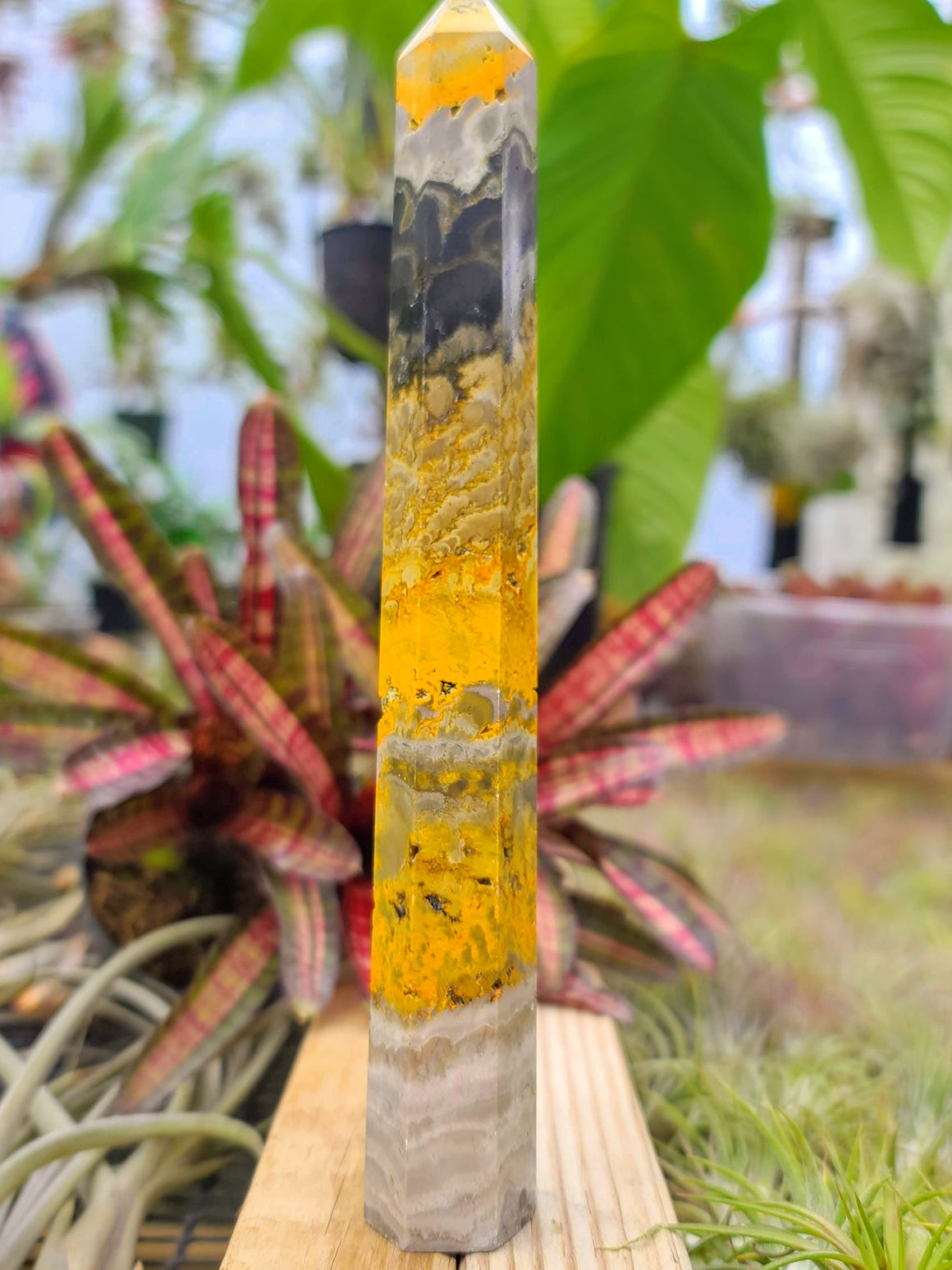 WYSIWYG- Bumblebee Jasper Tower