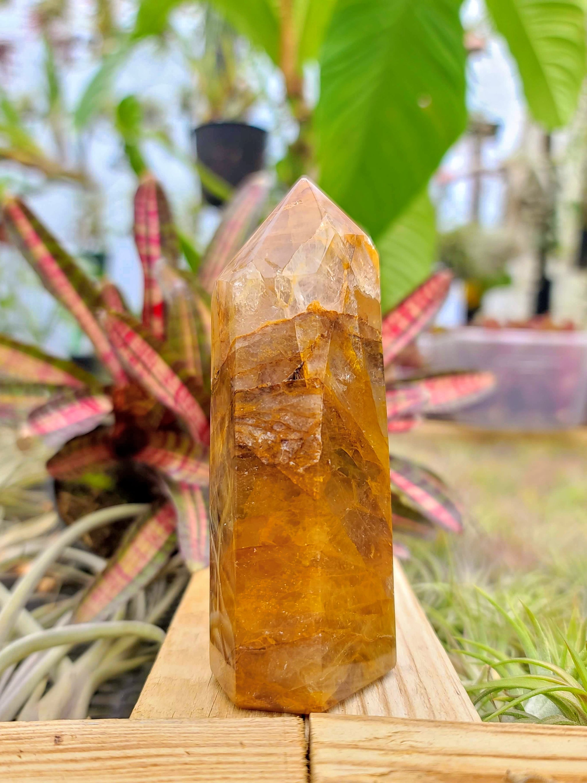 WYSIWYG- Golden Healer Tower