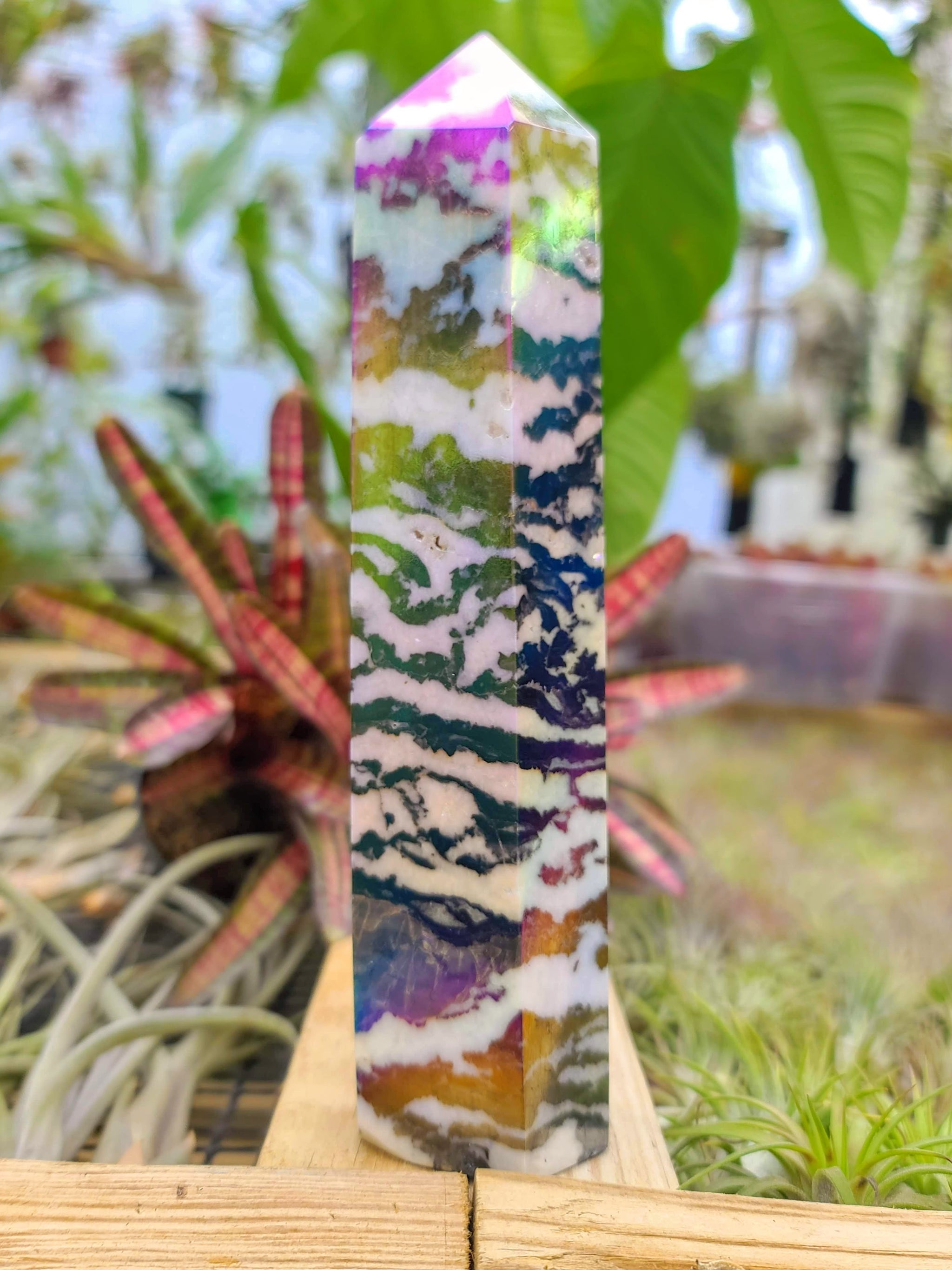 WYSIWYG- Aura Coated Zebra Tower