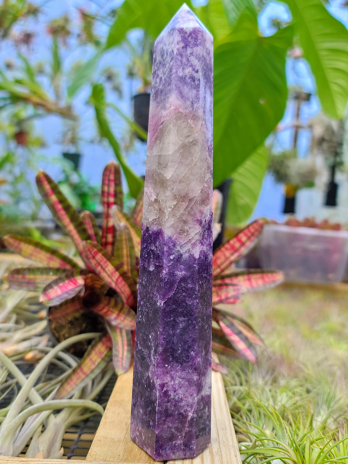 WYSIWYG- Lepidolite Tower