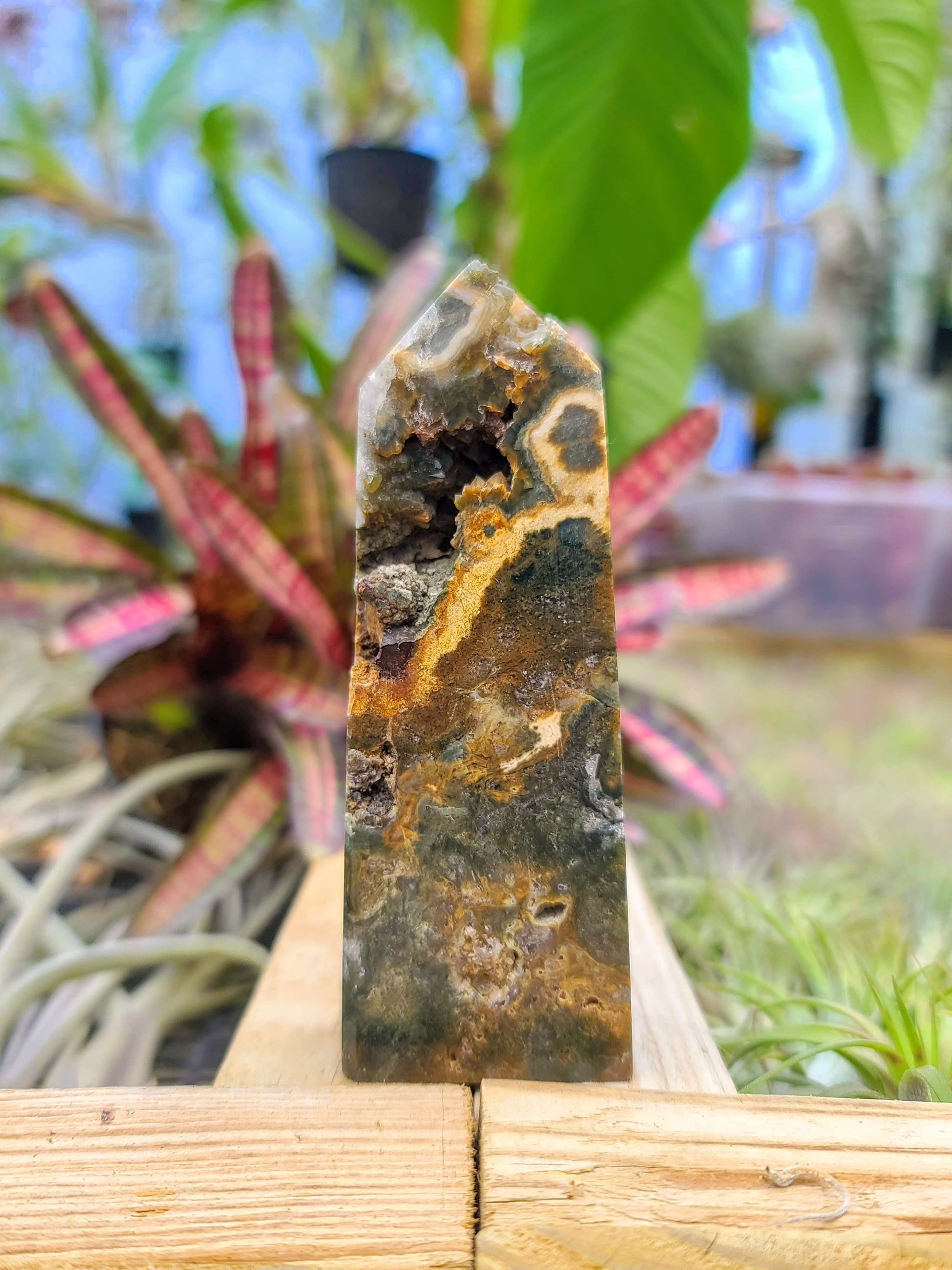 WYSIWYG- Ocean Jasper Tower