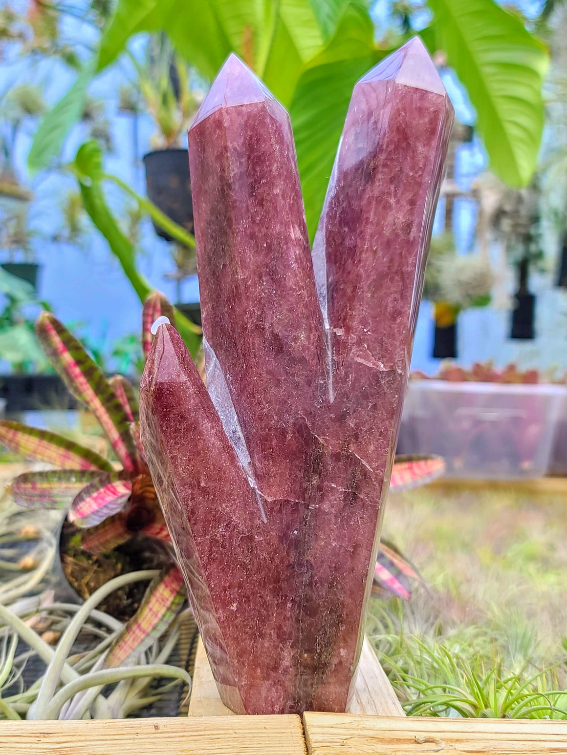 WYSIWYG- Strawberry Quartz Triple Point Tower