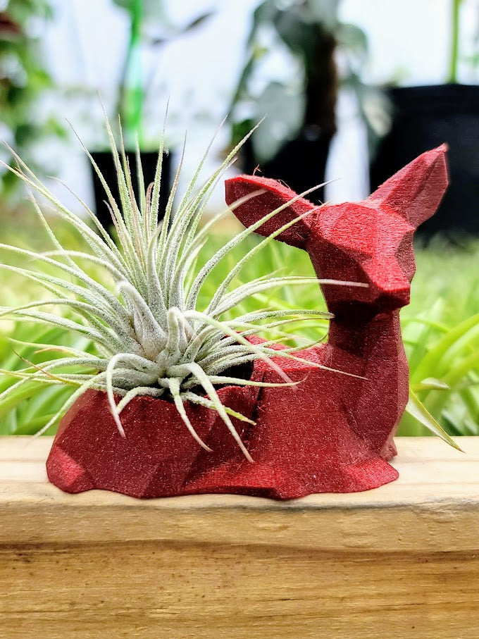 Small Deer 3D Printed Holder w/ Ionantha