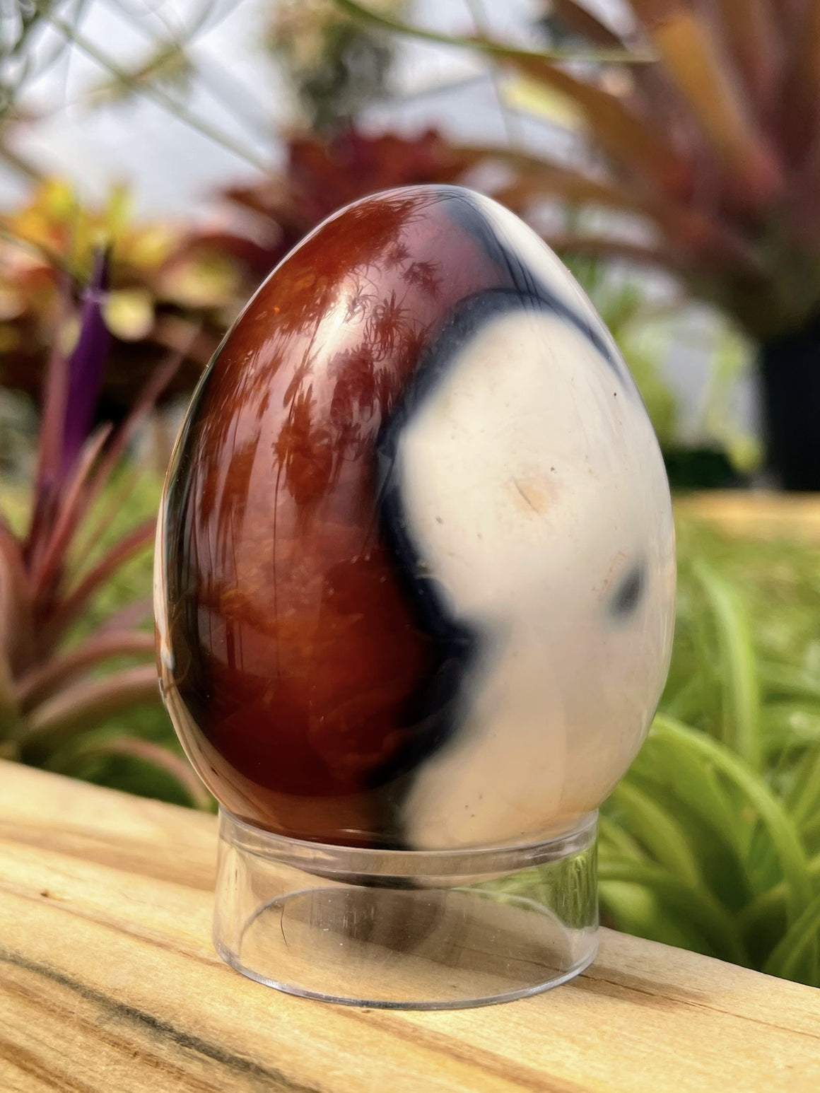WYSIWYG Carnelian Crystal Egg