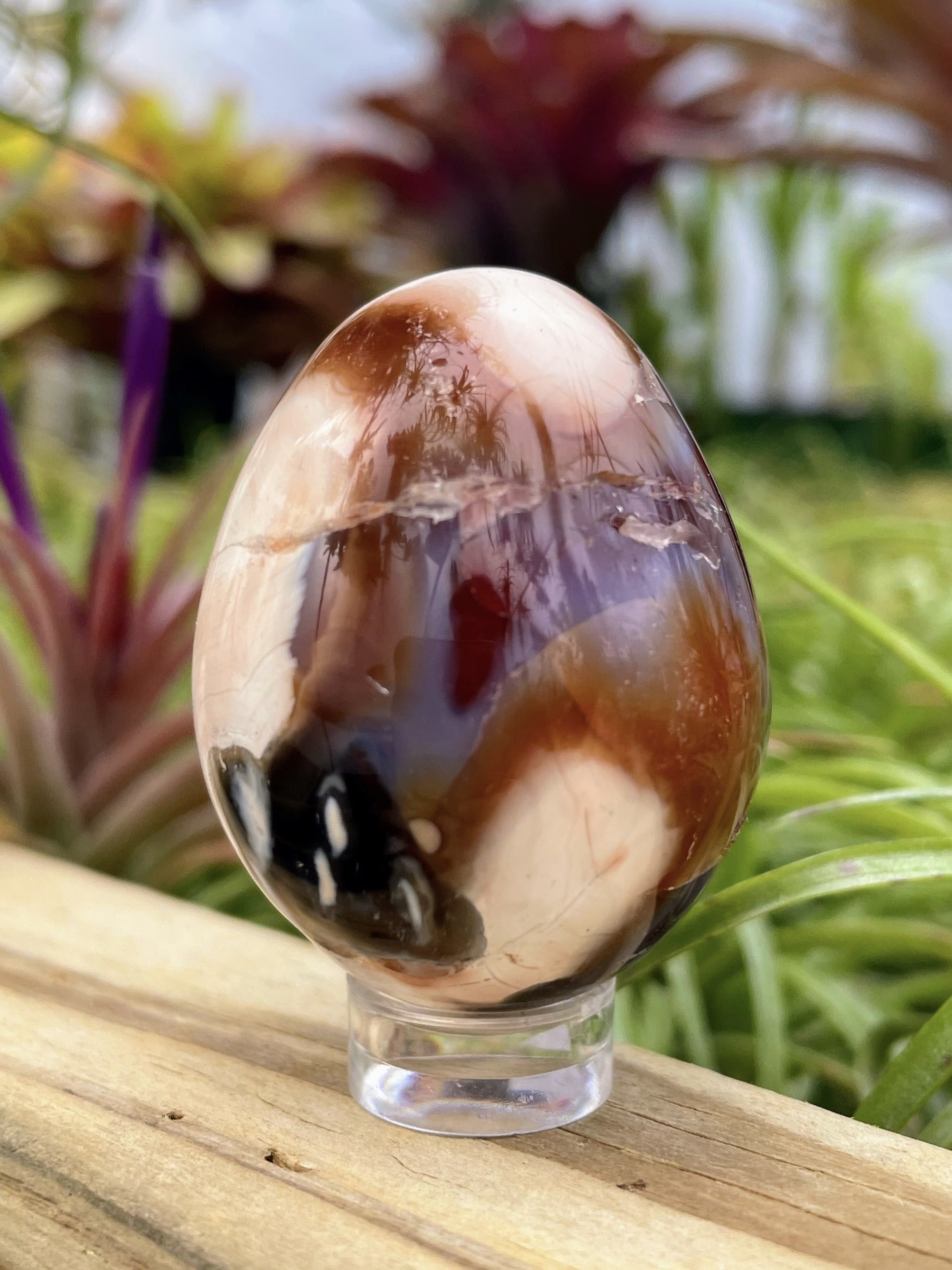WYSIWYG Carnelian Crystal Egg