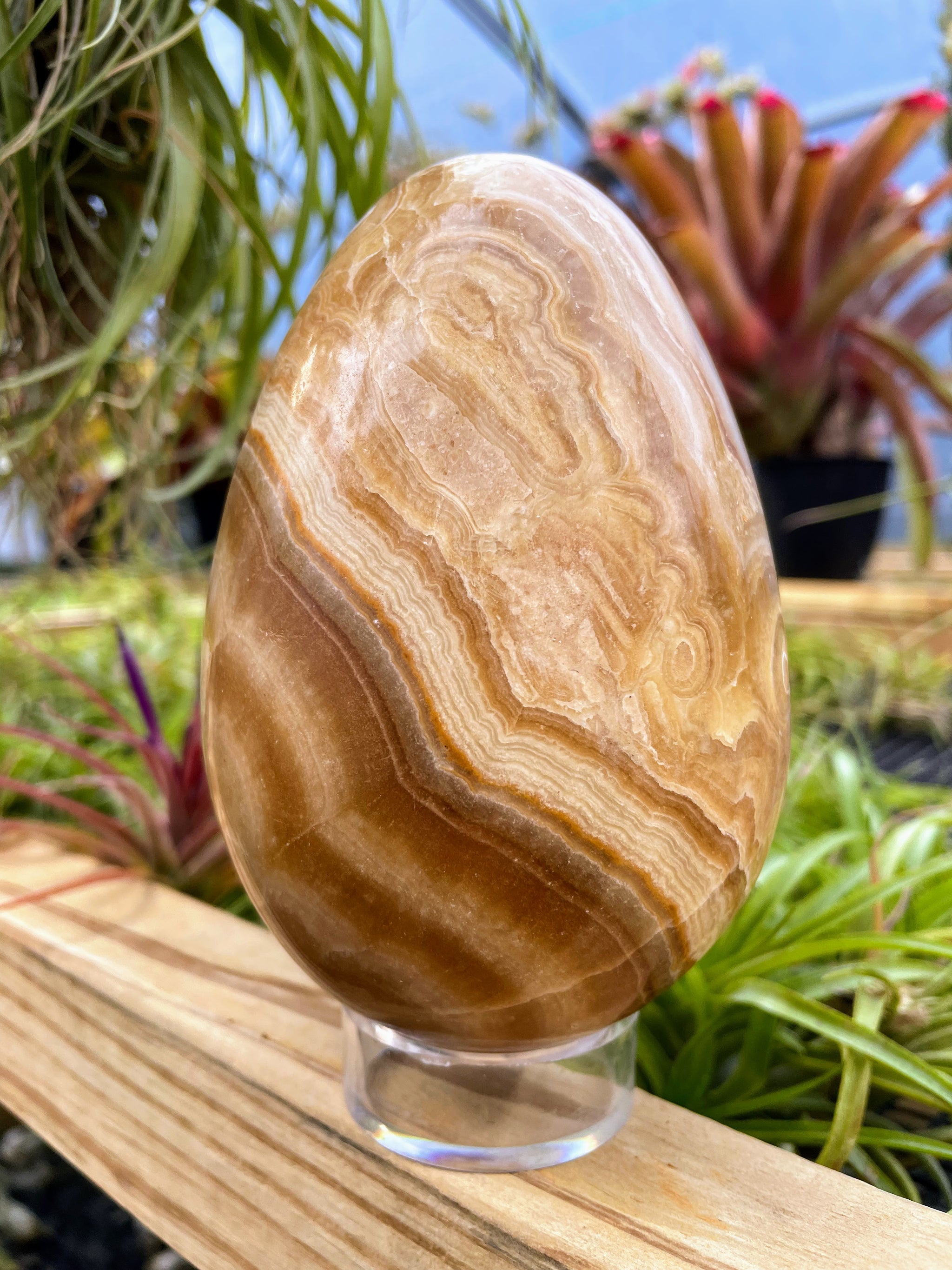 WYSIWYG Banded Jasper Crystal Egg