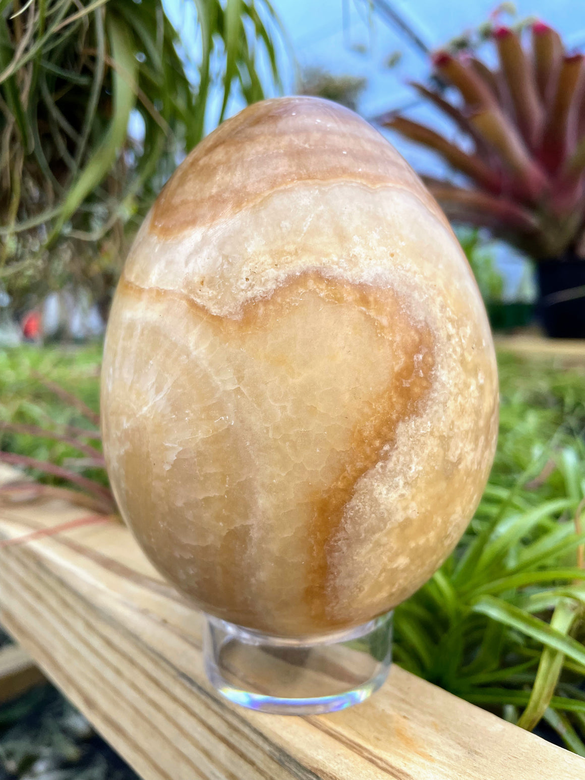 WYSIWYG Banded Jasper Crystal Egg