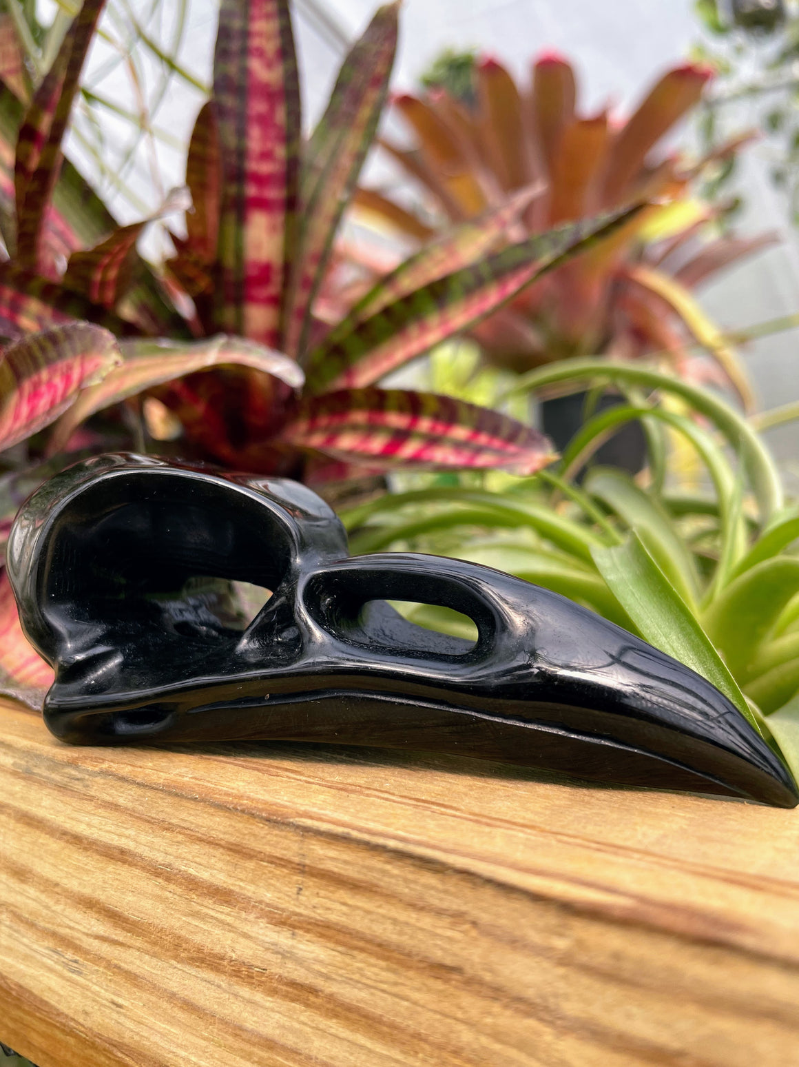 Black Obsidian Raven Skull Crystal Carving