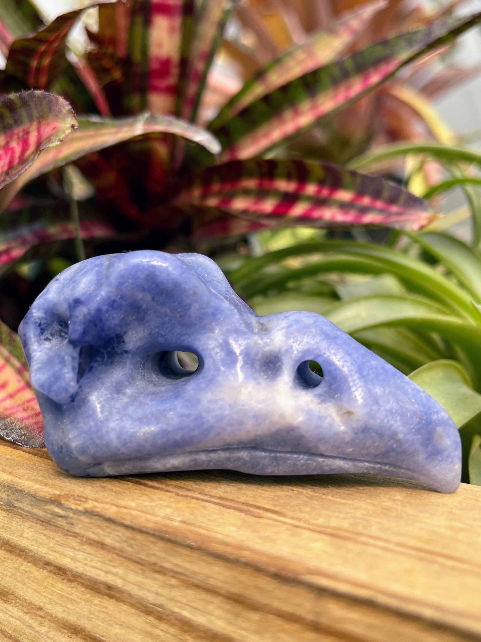 Sodalite Raven Skull Crystal Carving
