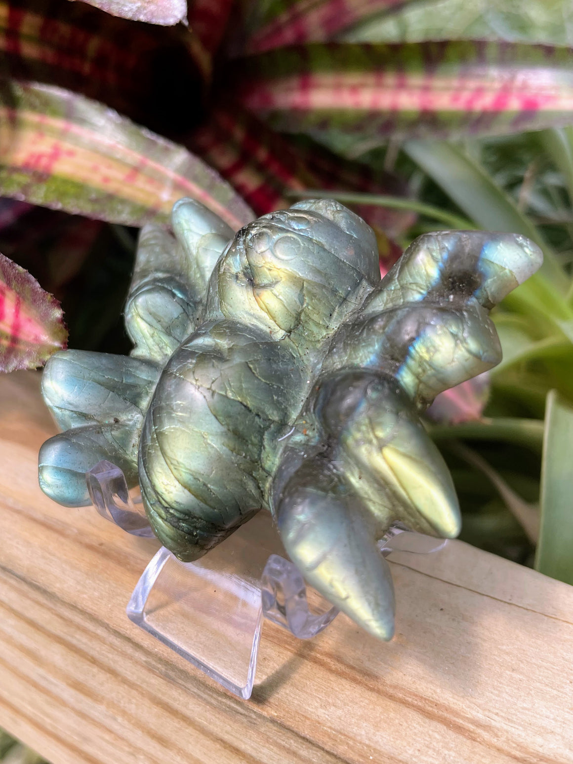 Labradorite Tarantula Crystal Carving