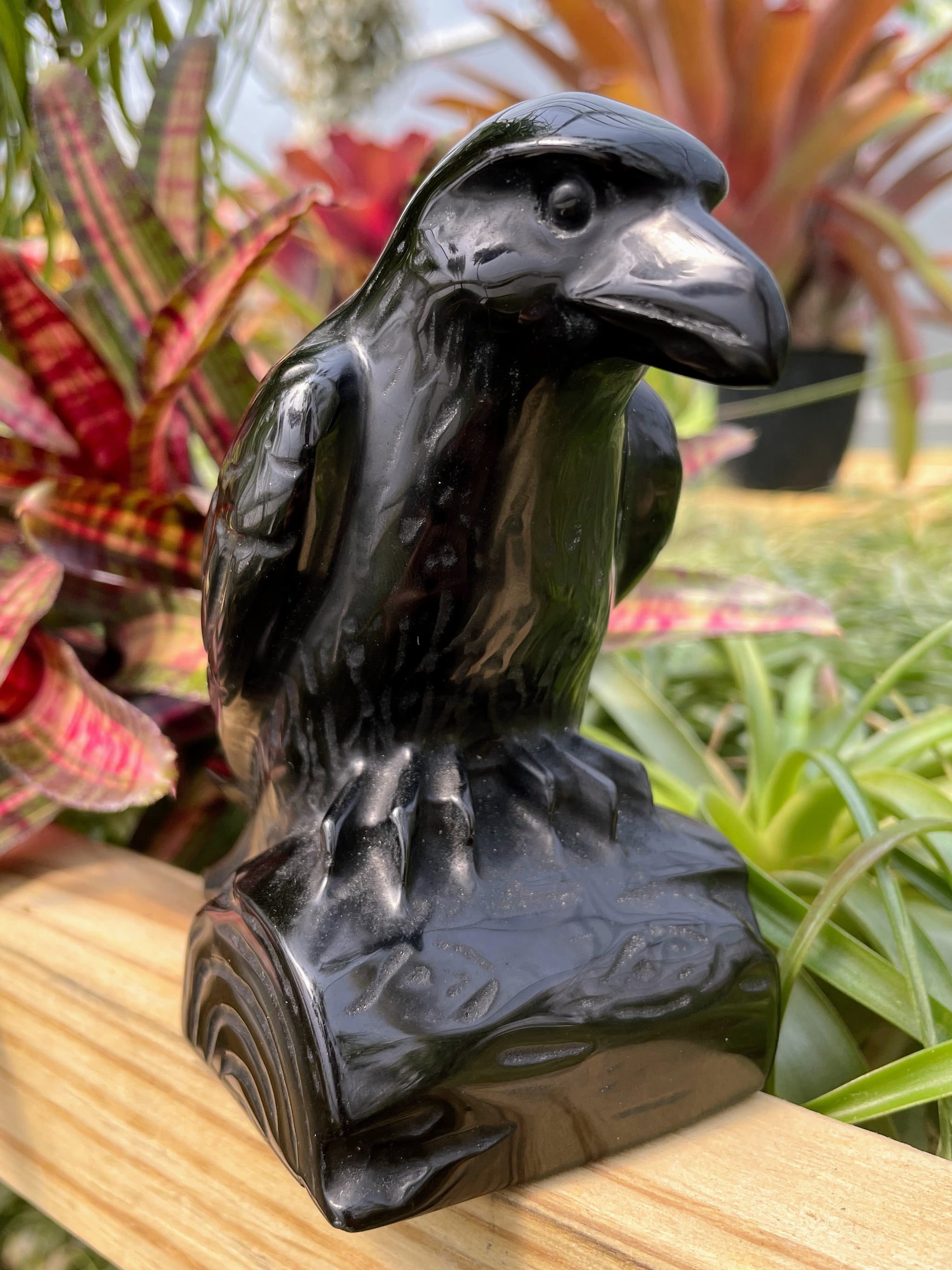 Black Obsidian Raven Crystal Carving