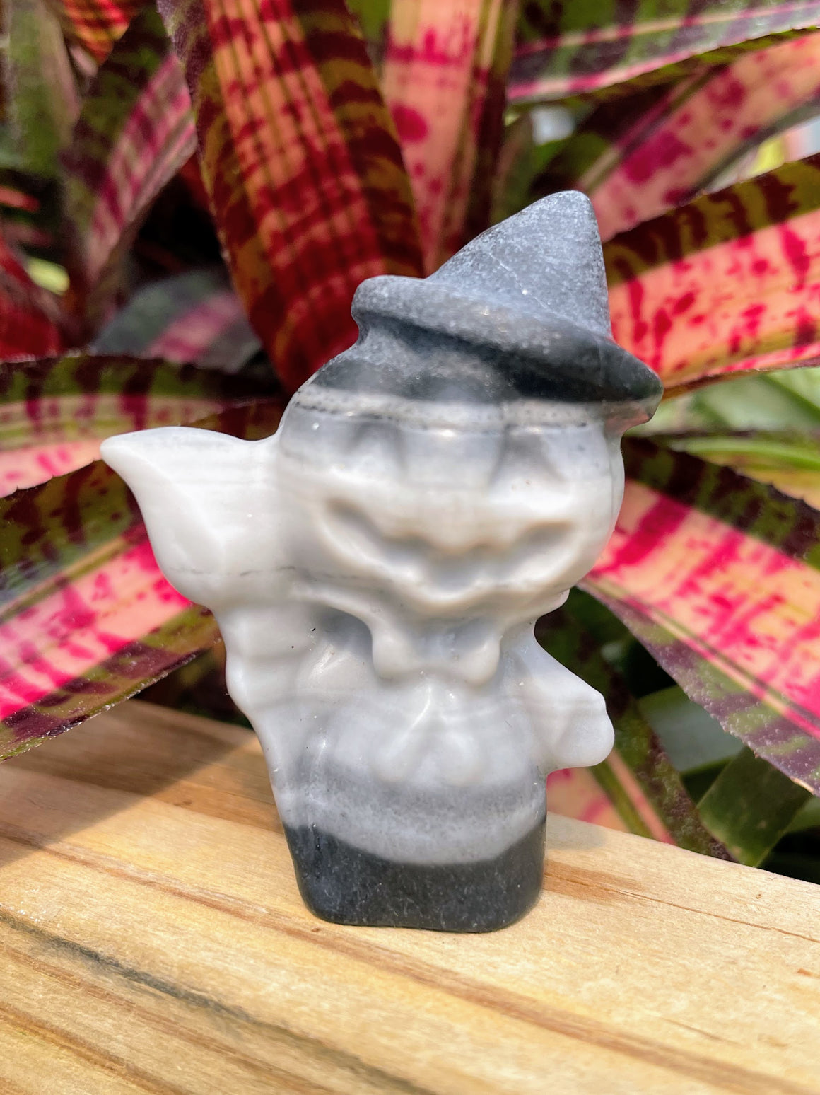 Jack-O'-Lantern Witch Crystal Carving