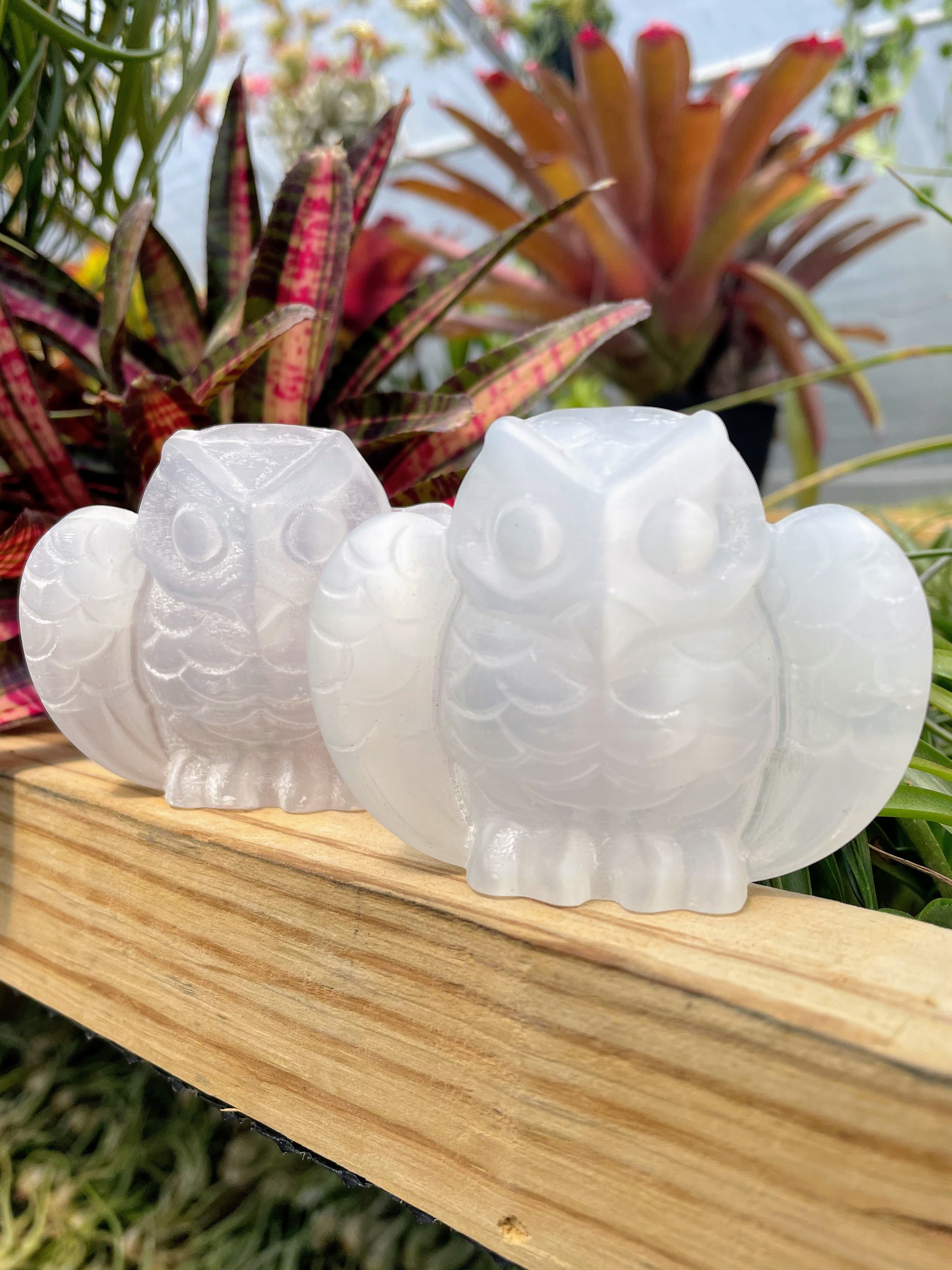 Selenite Owl Crystal Carving