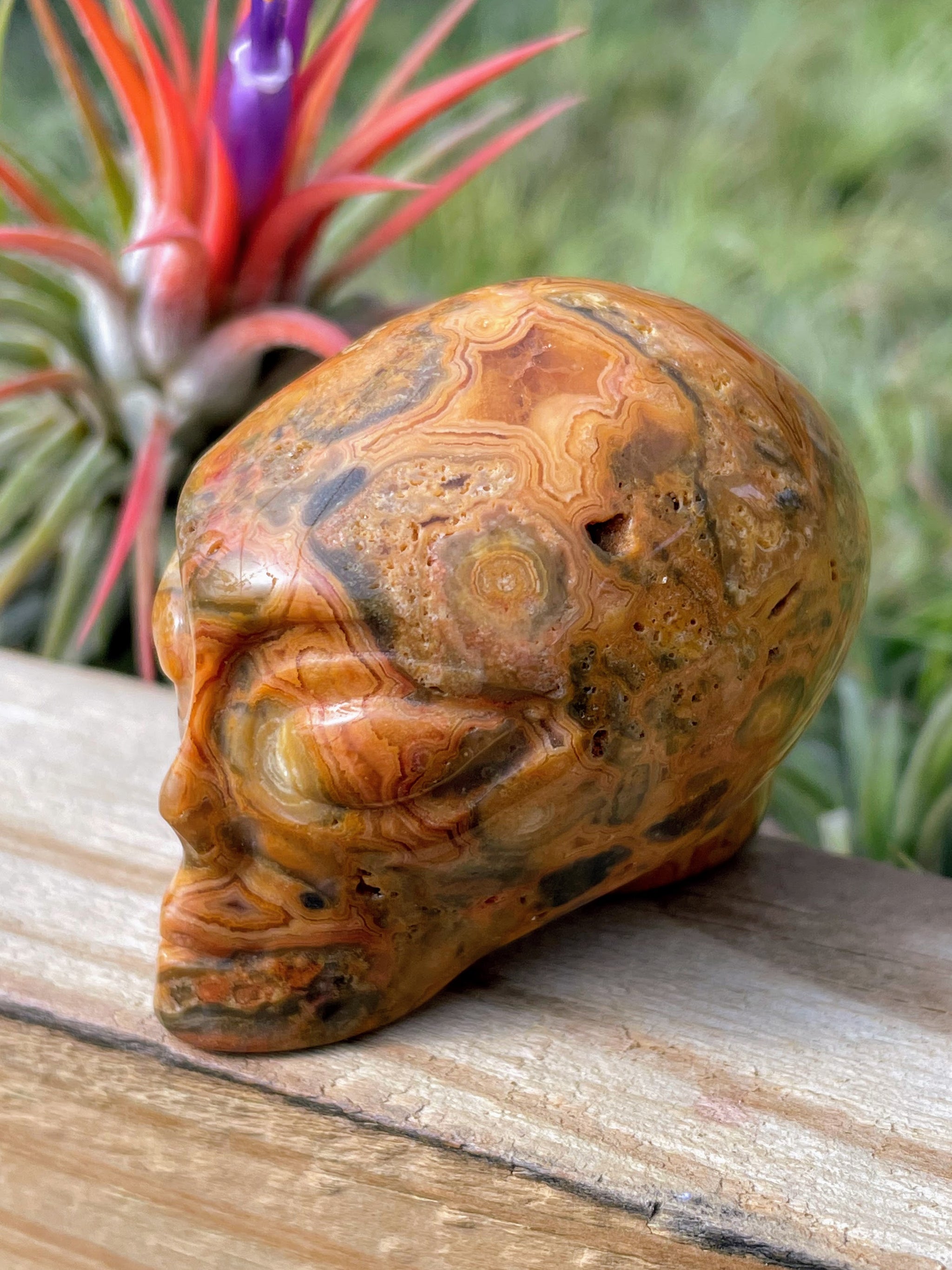 Crazy Lace Agate Alien Skull Carving