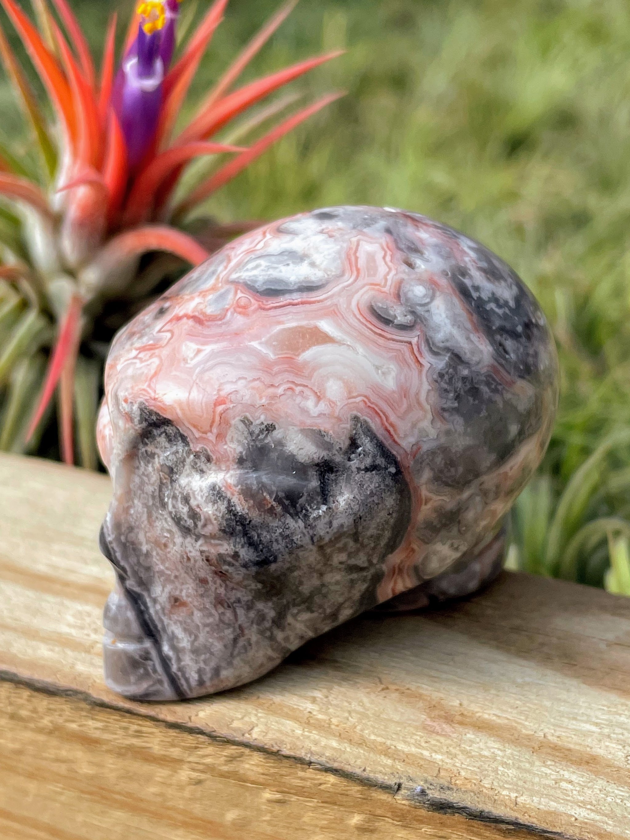 Pink Crazy Lace Agate Alien Skull Carving