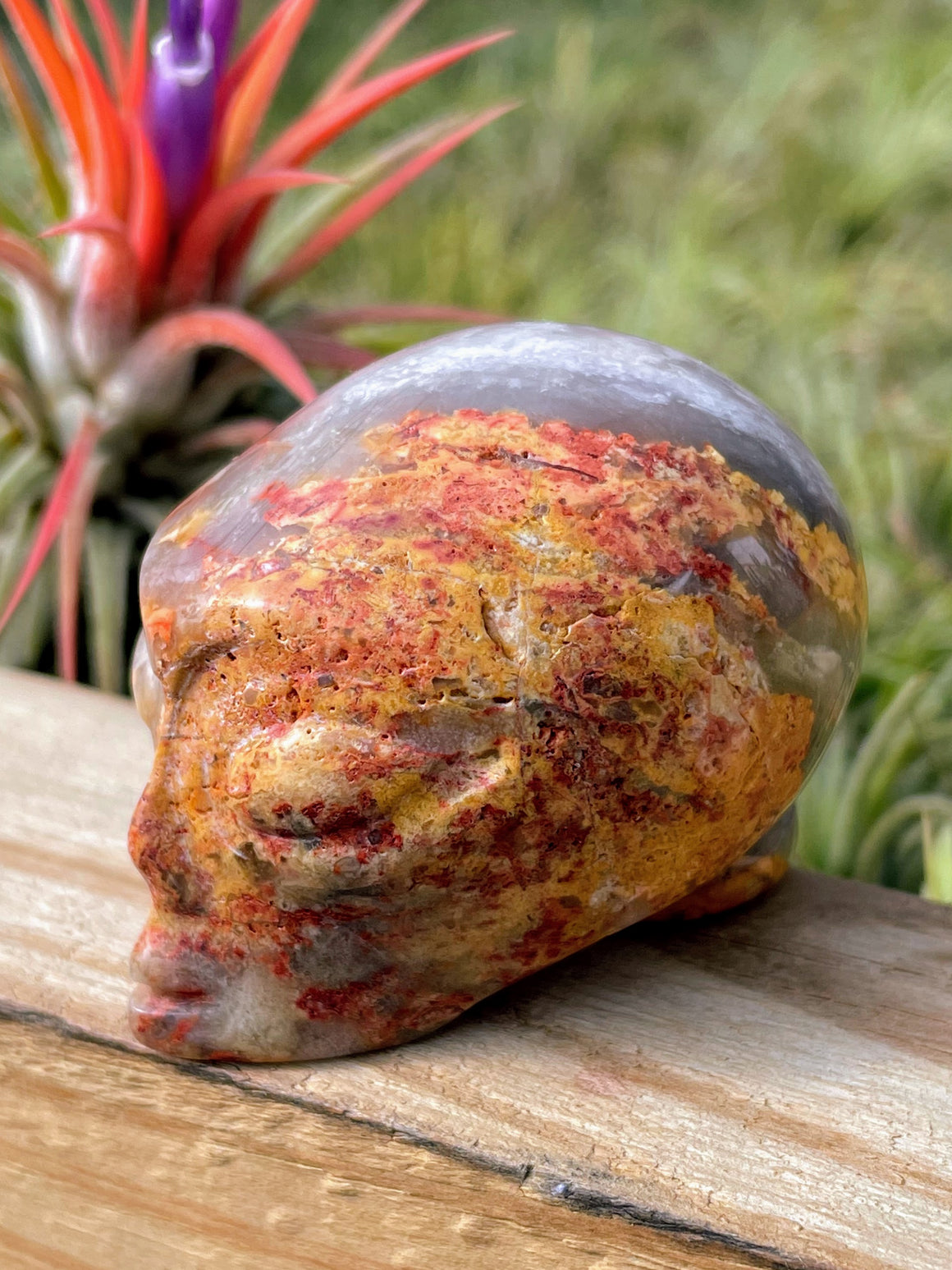 Crazy Lace Agate Alien Skull Carving