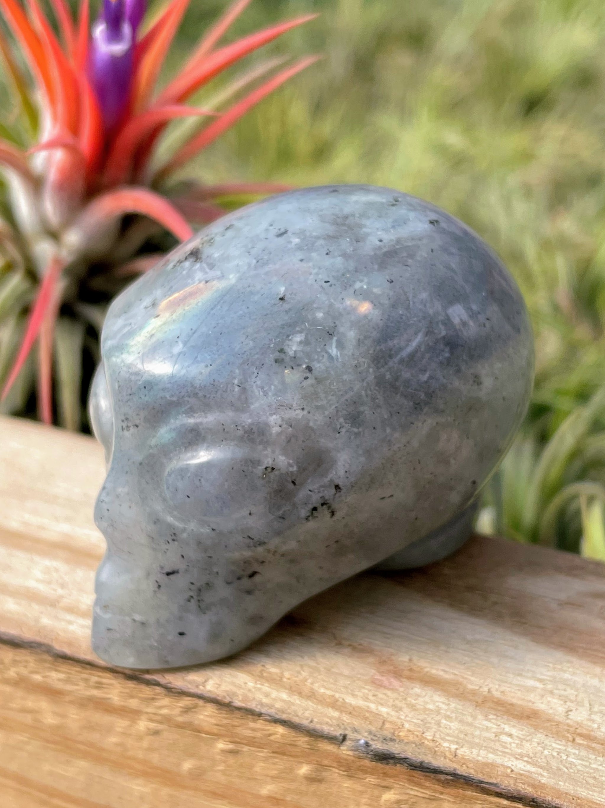 Labradorite Alien Skull Carving