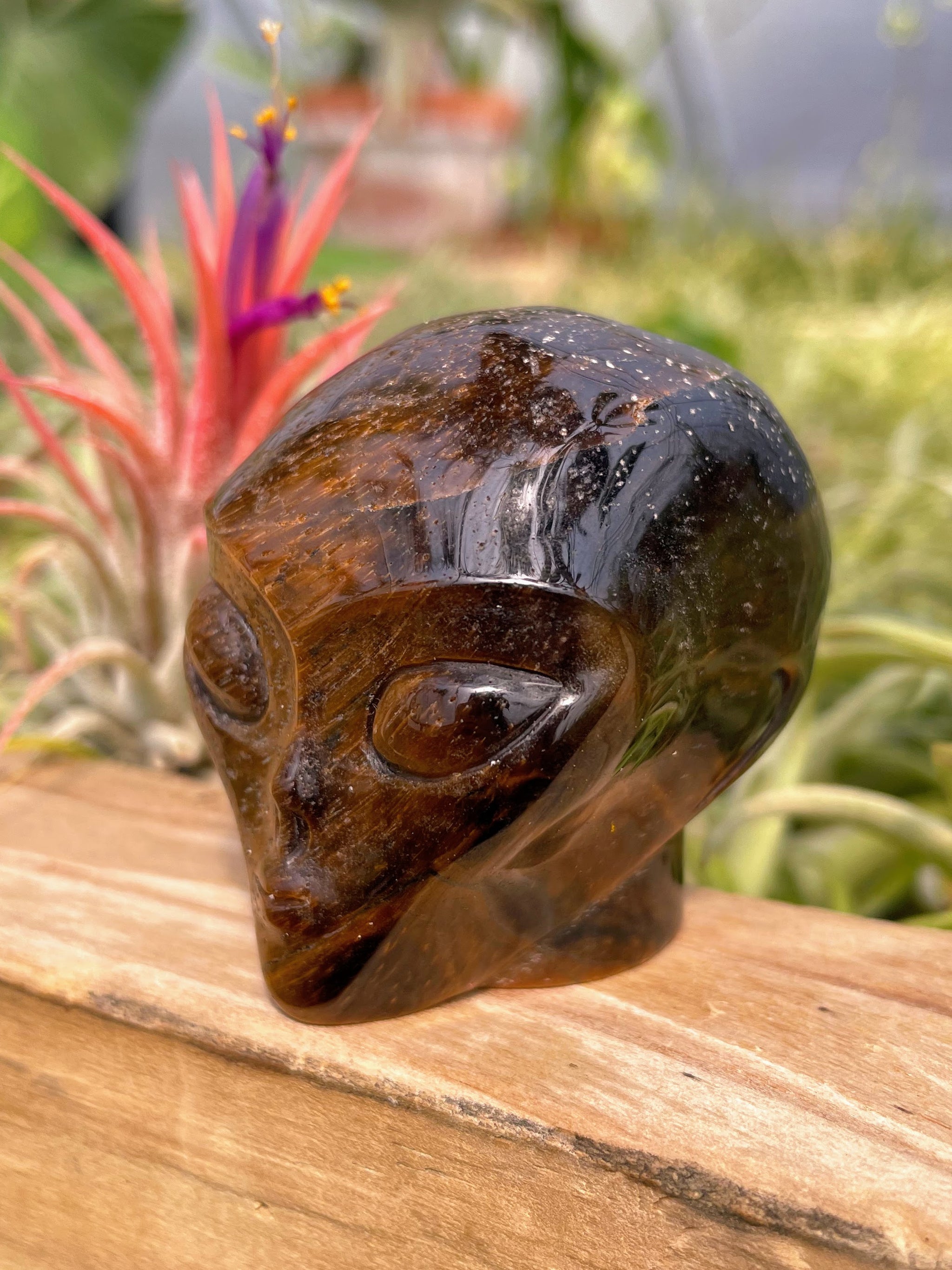 Tiger's Eye Alien Skull Carving