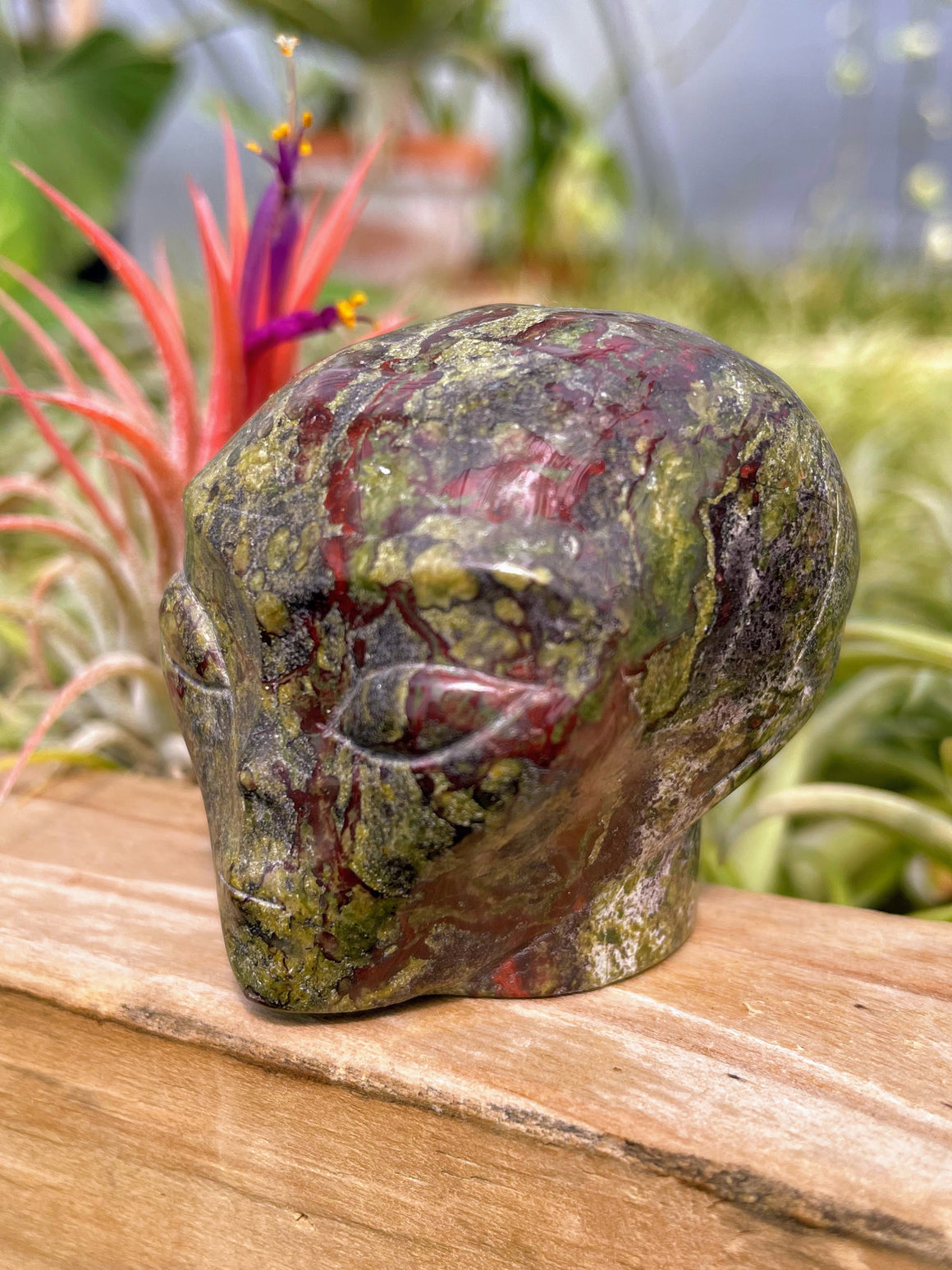 Dragon's Blood Alien Skull Carving