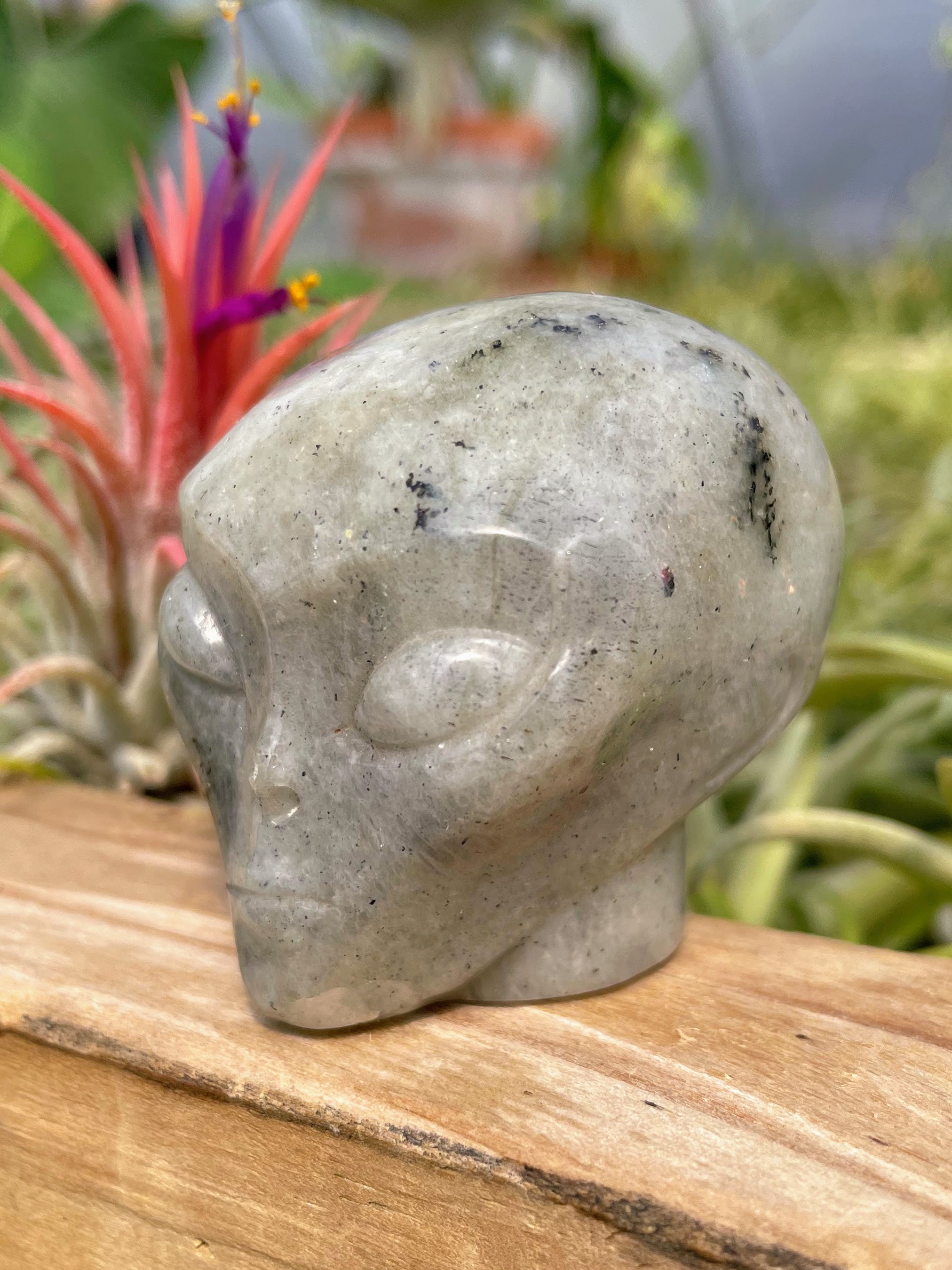 Labradorite Alien Skull Carving