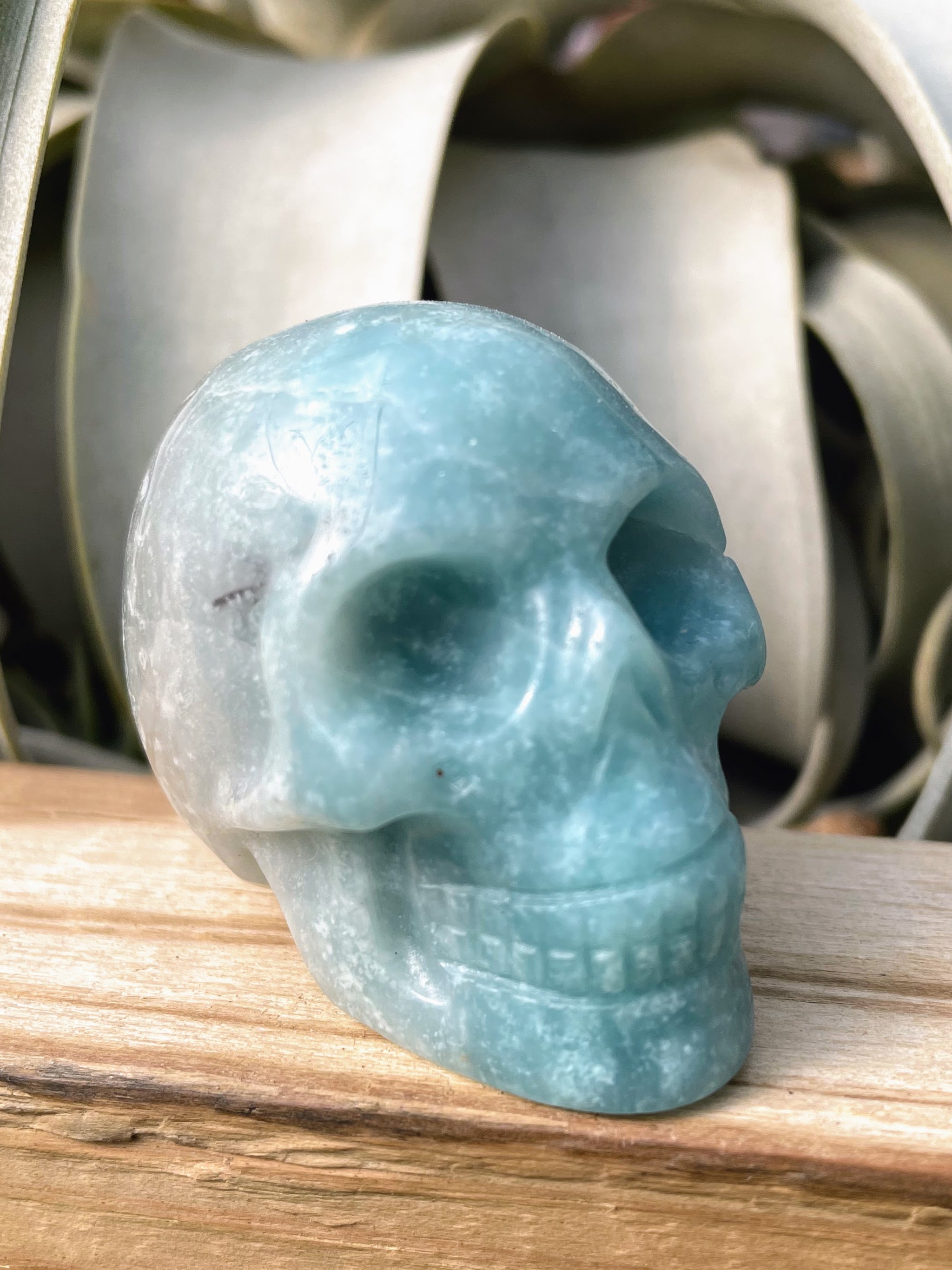 Medium Carribean Calcite Skull Carving