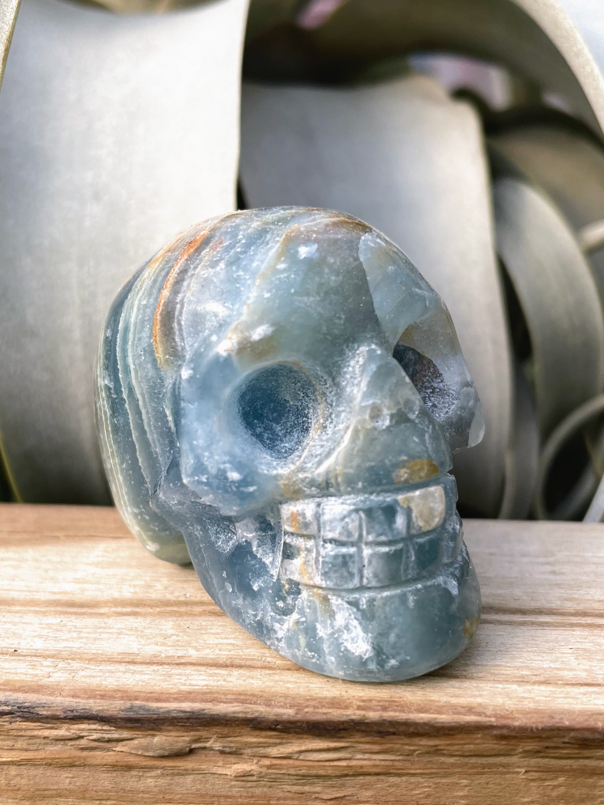 Medium Blue Onyx Skull Carving