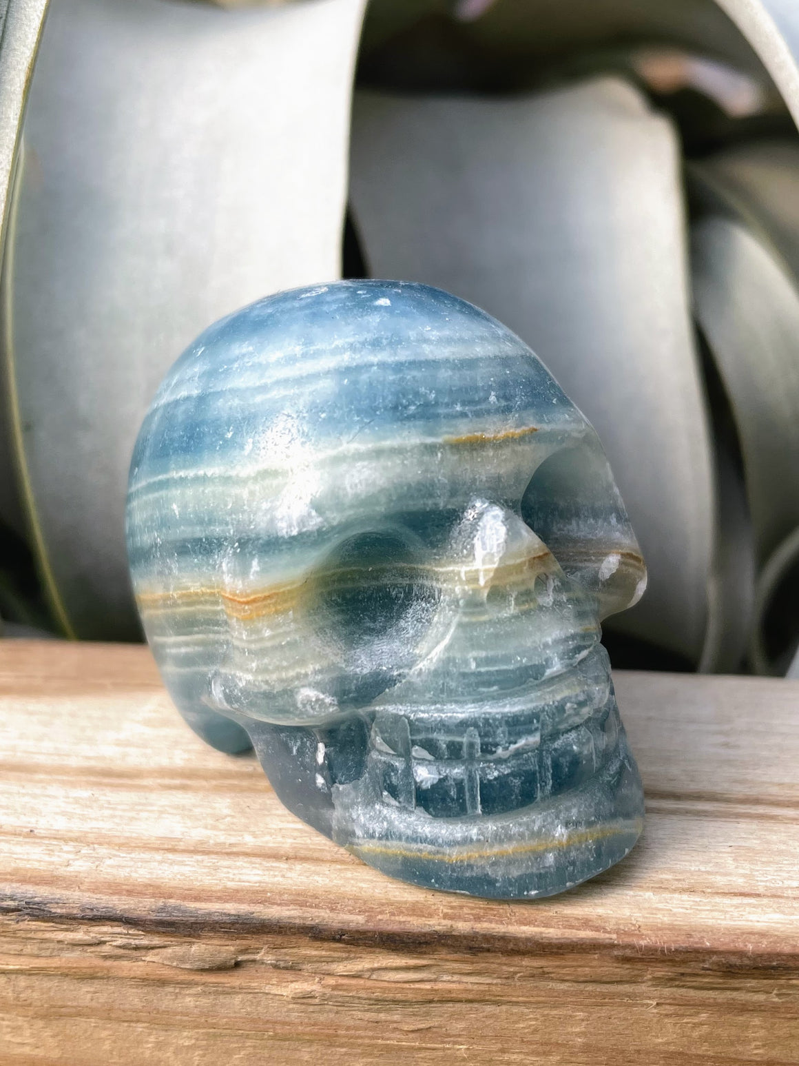 Medium Blue Onyx Skull Carving