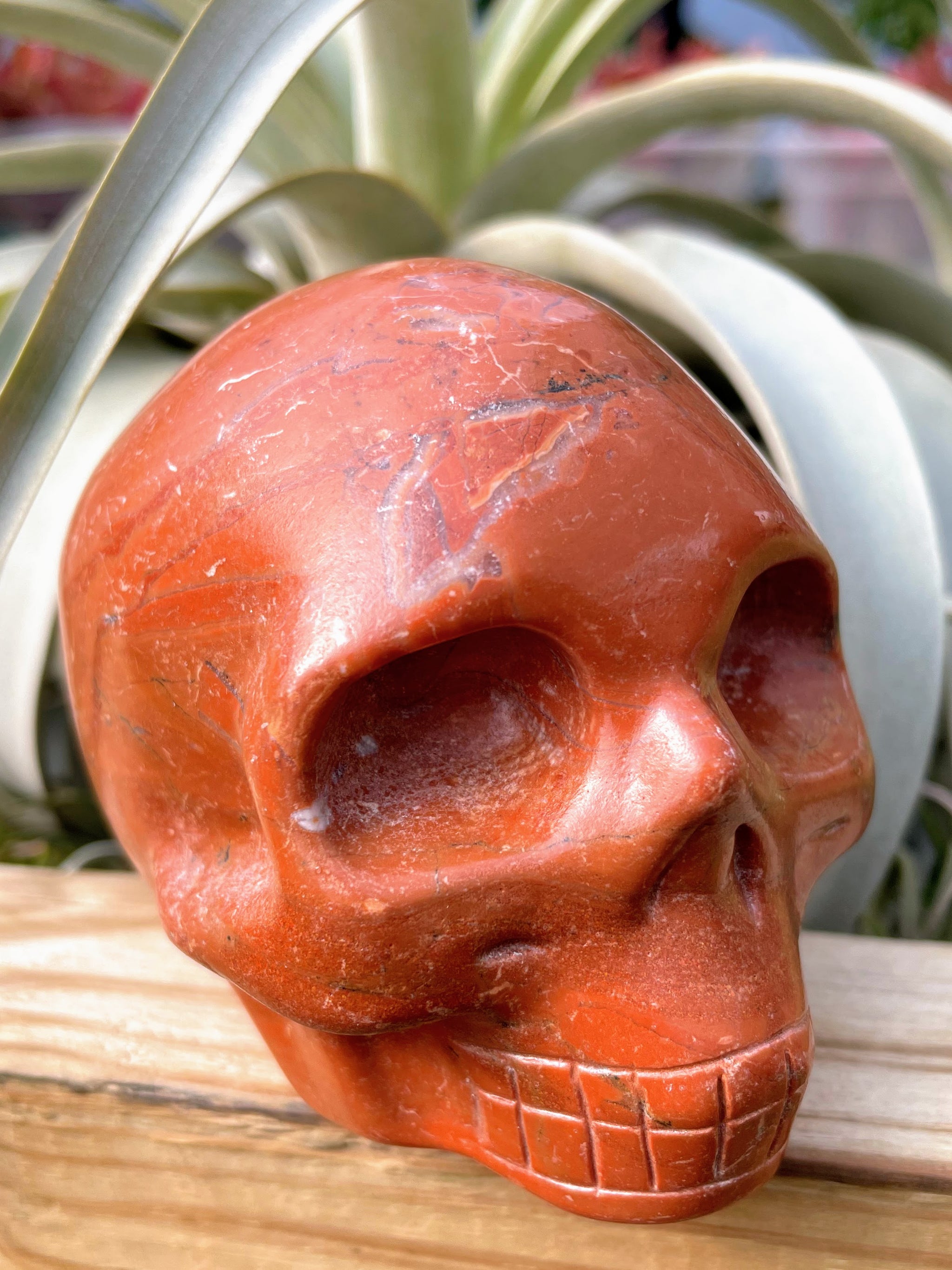 Large Red Jasper Skull Carving