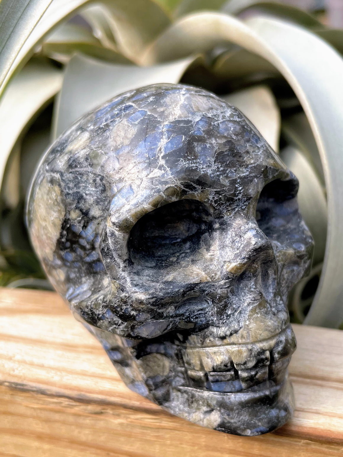 Large Llanite / Que Sera Skull Carving