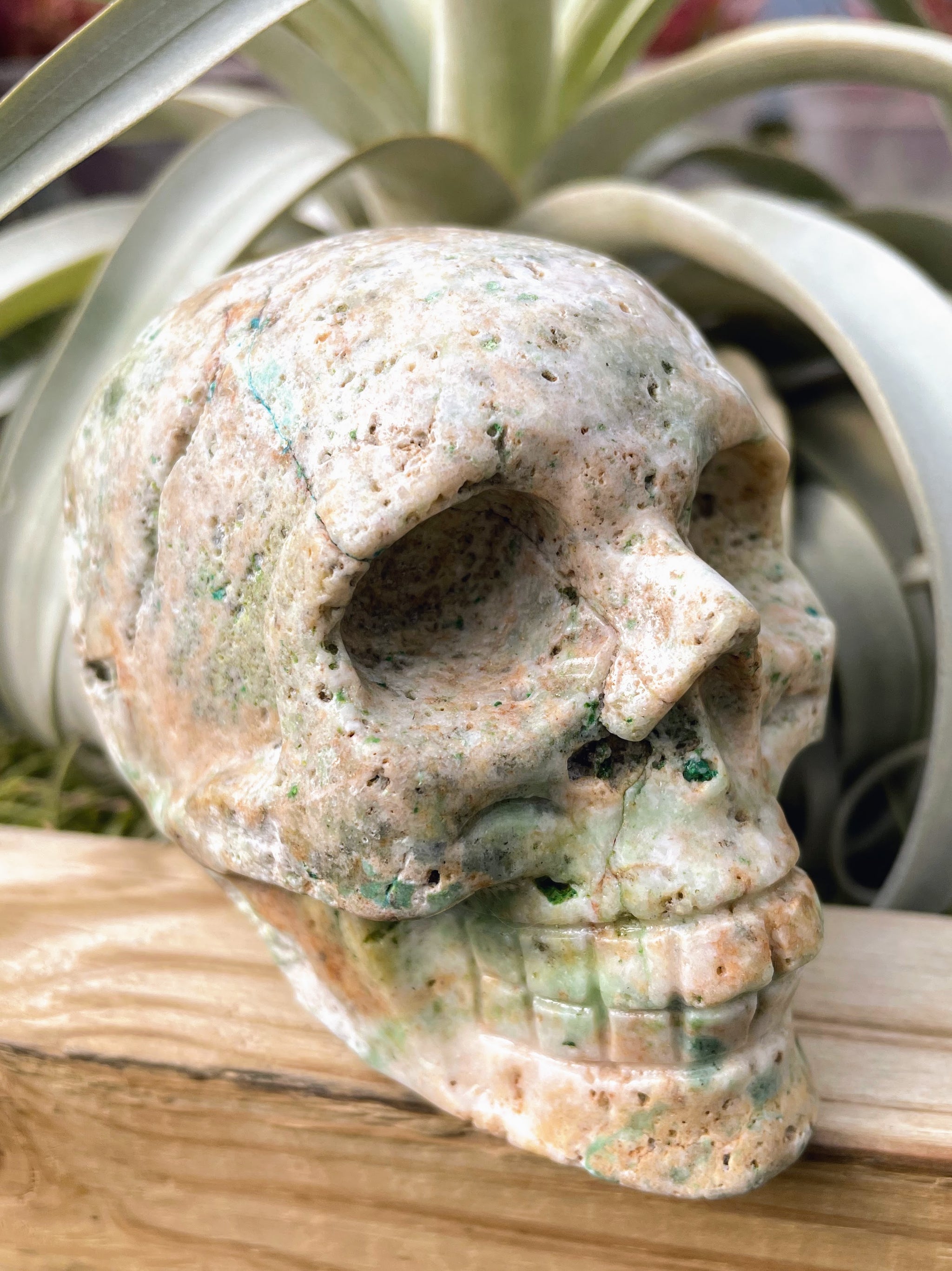 Large Phoenix Stone Skull Carving